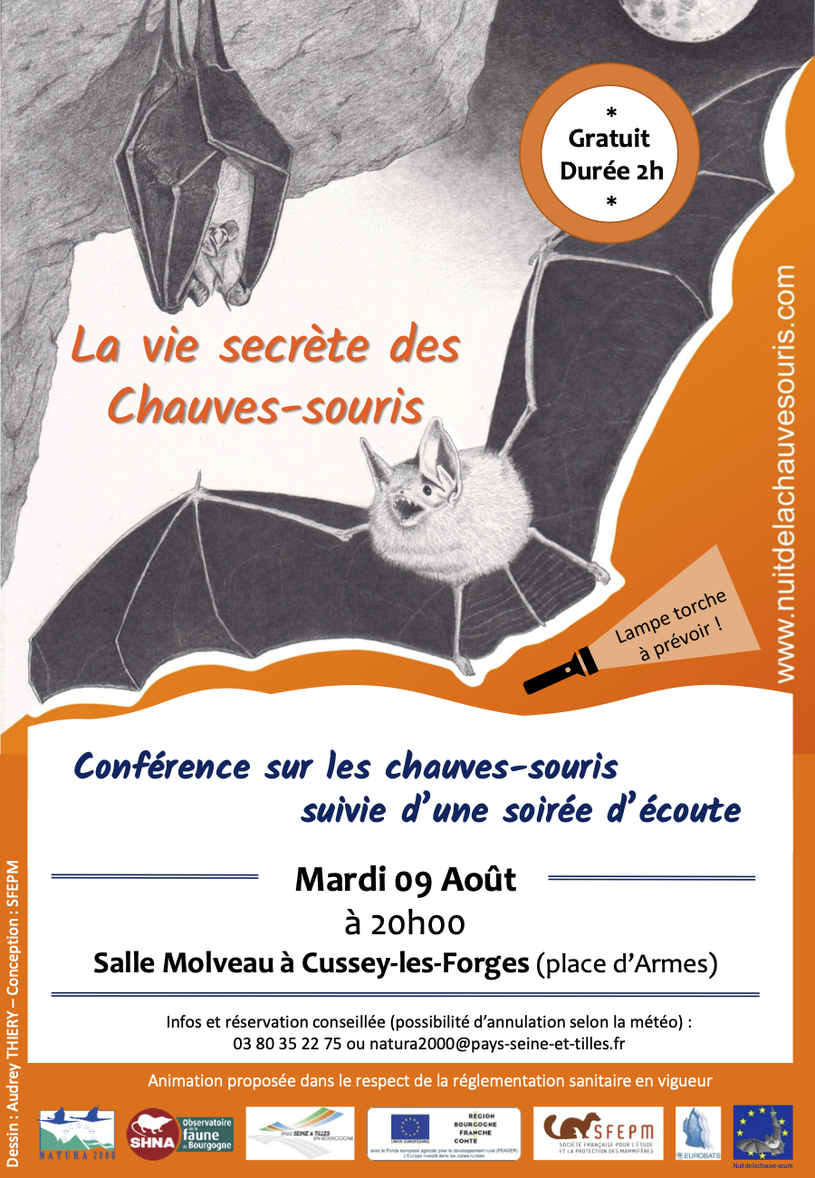 AFFICHE chauves souris