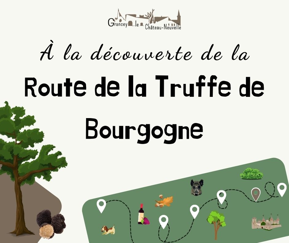 Route de la truffe