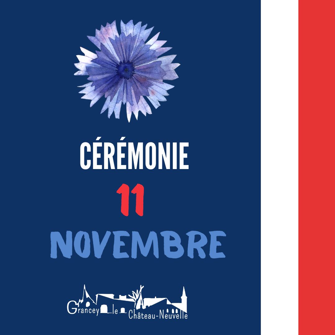 11 novembre